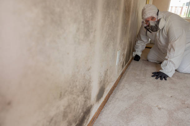 Best Dehumidification Services  in Prudenville, MI